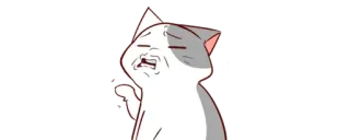 😒 gato, nojo, expressão, meme, animal, engraçado, desenho animado telegram sticker