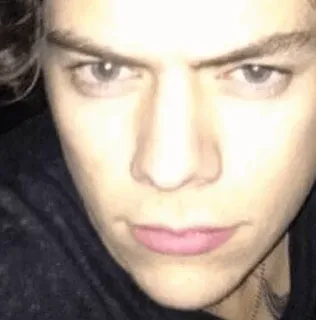 🎵 Harry Styles singer, man, person, celebrity telegram sticker