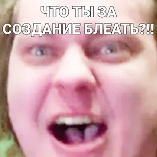🥶 ЧТО ТЫ ЗА СОЗДАНИЕ БЛЕАТЬ?!! Meme, Russisch, Offensiv, Wütend, Gesicht telegram sticker