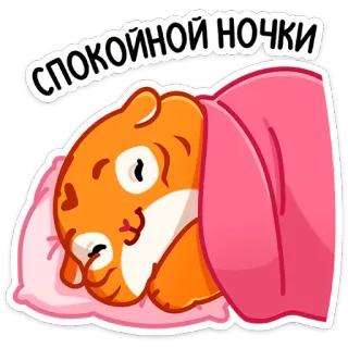 😴 СПОКОЙНОЙ НОЧКИ ราตรีสวัสดิ์, แฮมสเตอร์, นอน, น่ารัก, สัตว์, สติกเกอร์ telegram sticker
