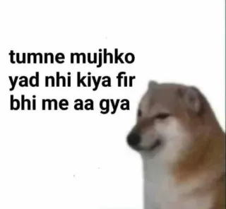 🌟 Cheems Doge tumne mujhko yad nhi kiya fir bhi me aa gya telegram sticker