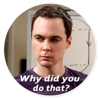 😒 Sheldon Cooper The Big Bang Theory Why did you do that? serie tv, sitcom, sheldon, the big bang theory, pregunta whatsapp sticker
