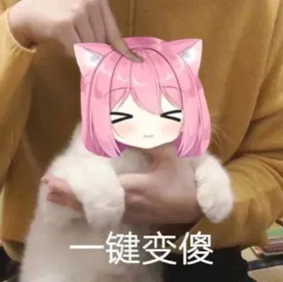 😵 一键变傻 anime, gato, pelo rosa, meme, lindo, divertido, dibujos animados whatsapp sticker