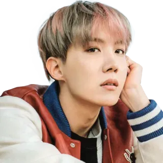 🤔 J-Hope J-Hope, BTS, K-pop, cantante, musica, persona whatsapp sticker