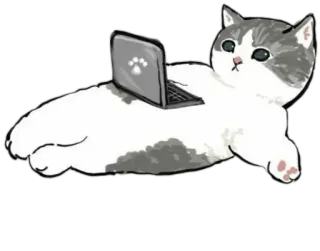 💻 kucing, laptop, binatang, hewan peliharaan, komputer, lucu, lucu telegram sticker