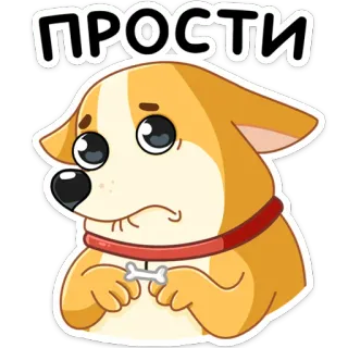 😫 ПРОСТИ chien, excuse, mignon, désolé(e), chiot, corgi, pardonner whatsapp sticker
