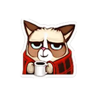 ☕ Grumpy Cat 猫, 不機嫌, コーヒー, ミーム, 毛布, かわいい, 動物 telegram sticker