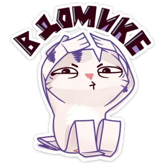 👀 Взлом ки Katze, Aufkleber, lustig, süß, russisch telegram sticker