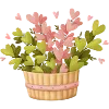💗