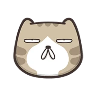 🐵 고양이, 새끼 고양이, 동물, 애완 동물, 귀여운, 스티커, 만화 telegram sticker