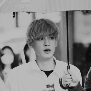 🗻 personne, parapluie, pluie, portrait, noir et blanc telegram sticker