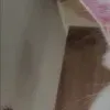 🤩