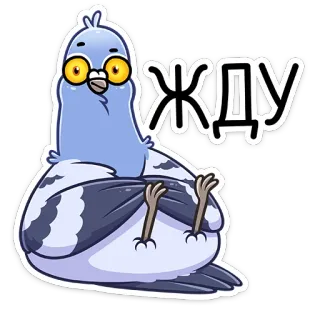 🙂 ЖДУ burung, merpati, menunggu, kacamata, kartun telegram sticker