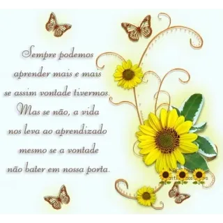 🌻 Sempre podemos
aprender mais e mais
se assim vontade tivermos.
Mas se não, a vida
nos leva ao aprendizado
mesmo se a vontade
não bater
em nossa porta.
anti Sonnenblumen, Schmetterlinge, Positive Botschaft, Lernen, Motivation whatsapp sticker