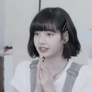🐾 Lisa kpop, lisa, blackpink, cantante, donna, idol, asiatica telegram sticker