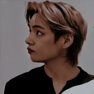 🐻 V kpop, bts, 아이돌, 가수, 뷔, 김태형, 한국 telegram sticker