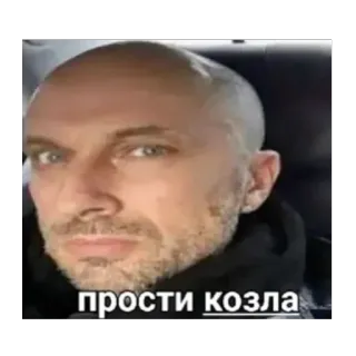 🫥 прости козла telegram sticker