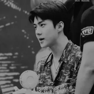 ✖️ GREAT TREASURE kpop, exo, sehun, sänger, musik, idol, fan, fan telegram sticker