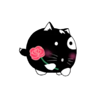 🌹 gato, lindo, kawaii, rosa, animal telegram sticker