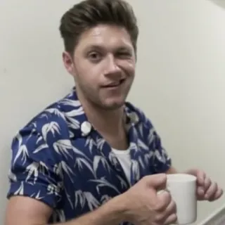😆 Niall Horan Niall Horan, singer, one direction, celebrity, hawaiian shirt, coffee, morning telegram sticker