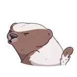 😠 สัตว์, หมี, การ์ตูน, ตลก, น่ารัก, สติกเกอร์ telegram sticker