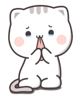😿 gato, lindo, triste, llorando, kawaii, animal, rogando telegram sticker