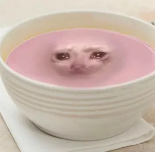 😩 gato, sopa, triste, tazón, rosa telegram sticker
