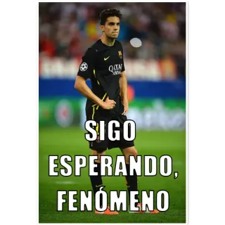 🙄 SIGO
ESPERANDO,
FENÓMENO soccer, football, meme, sports, athlete telegram sticker