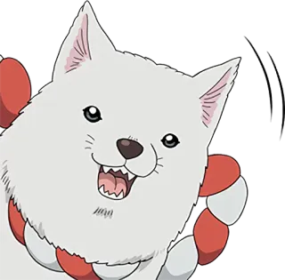😃 犬, 白い犬, アニメ, 動物 telegram sticker