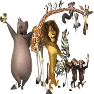 👥 Madagascar cartoni animati, animali, zebra, leone, giraffa, ippopotamo, scimmia, pinguini telegram sticker