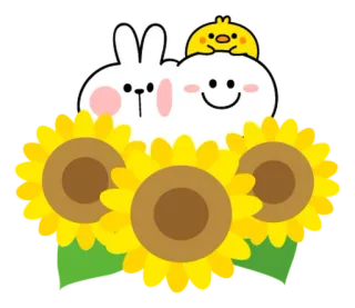🌼 coelho, girassol, desenho animado, coelhinho, flor, fofo, galinha telegram sticker
