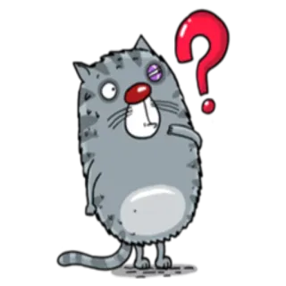 ❓ 고양이, 물음표, 부상, 만화, 동물, 혼란 telegram sticker