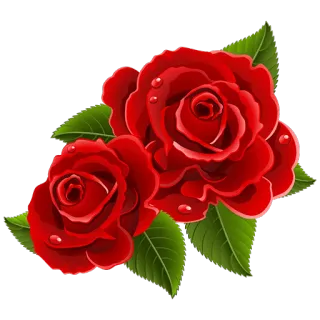 🌹 цветок, роза, красный, растение, природа, цветы telegram sticker