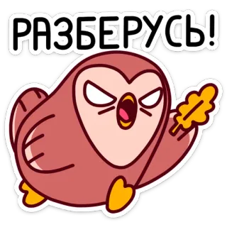 😡 РАЗБЕРУСЬ! Eule, wütend, Cartoon, niedlich, Vogel, Ausdruck whatsapp sticker