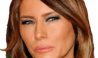 🤔 Melania Trump persona, faccia, celebrità, politico, Melania Trump, ritratto whatsapp sticker