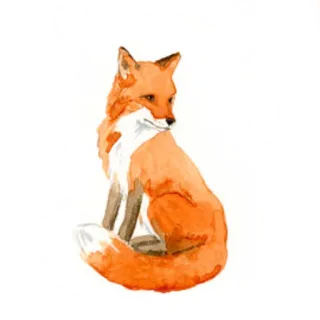 🦊 狐狸, 动物, 水彩, 可爱, 野生动物 telegram sticker