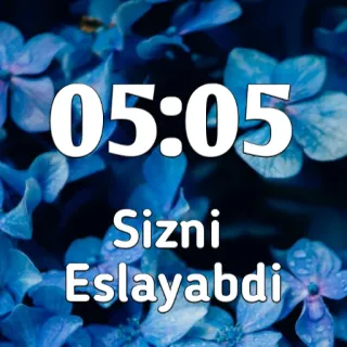 ❤️ 05:05
Sizni
Eslayabdi zeit, floral, blau, blumen, usbekisch whatsapp sticker