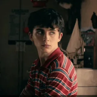 🍃 Timothée Chalamet acteur, célébrité, portrait telegram sticker
