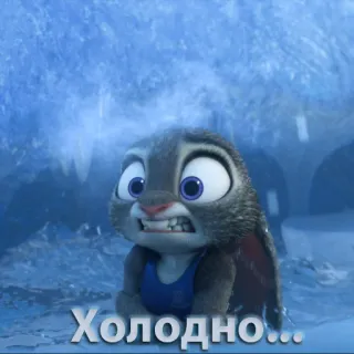 🥶 Холодно... cold, freezing, winter, bunny, rabbit, Zootopia whatsapp sticker