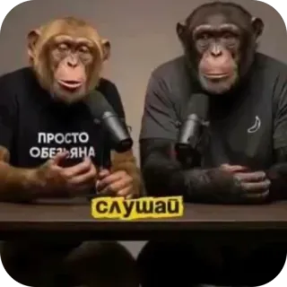🫥 ПРОСТО ОБЕЗЬЯНА, СЛУШАЙ telegram sticker