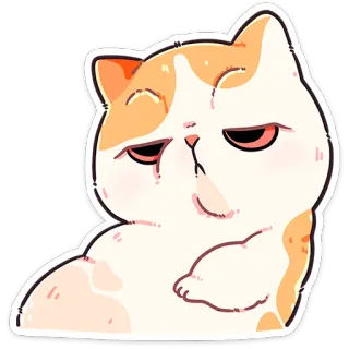 ❤️ kat, schattig, lui, huisdier, dier, sticker whatsapp sticker