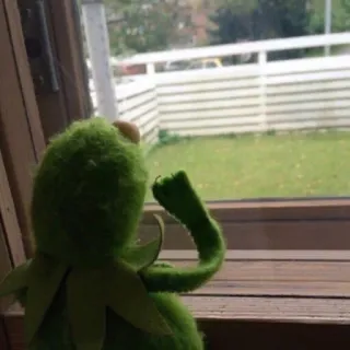 👁 Kermit kermit, rana, ventana, triste, muppet, esperando telegram sticker