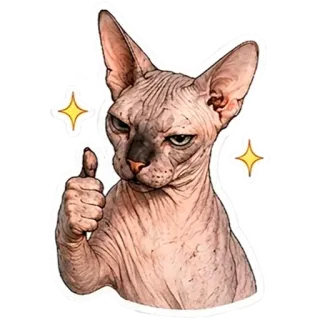 👍 Sphynx cat telegram sticker