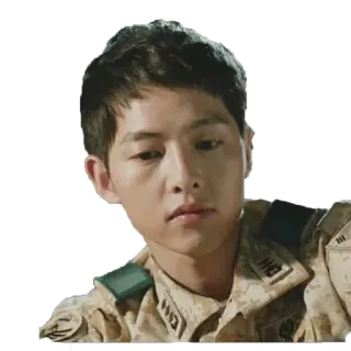 😣 militer, tentara, seragam, korea, drama, aktor whatsapp sticker