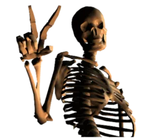 ✌ scheletro, segno di pace, ossa, anatomia telegram sticker