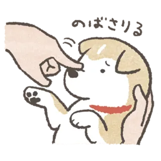 👈 강아지, 애완 동물, 동물, 귀여운, 일러스트, 만화 telegram sticker