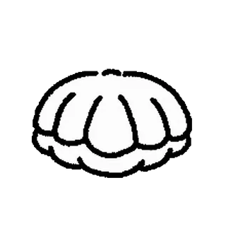 🥚 concha, mar, océano, caparazón, blanco, contorno telegram sticker