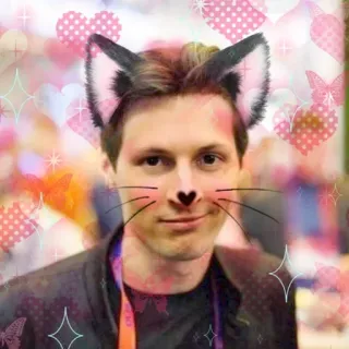 😼 고양이 귀, 얼굴 필터, 하트, 귀여운, 인물 사진 telegram sticker