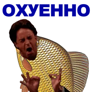 🐠 poisson, drôle, surréel, comédie, mème whatsapp sticker