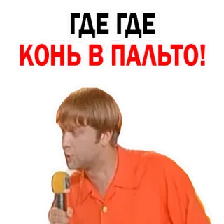 😜 ГДЕ ГДЕ КОНЬ В ПАЛЬТО! rusia, kuda, mantel, ekspresi, humor telegram sticker